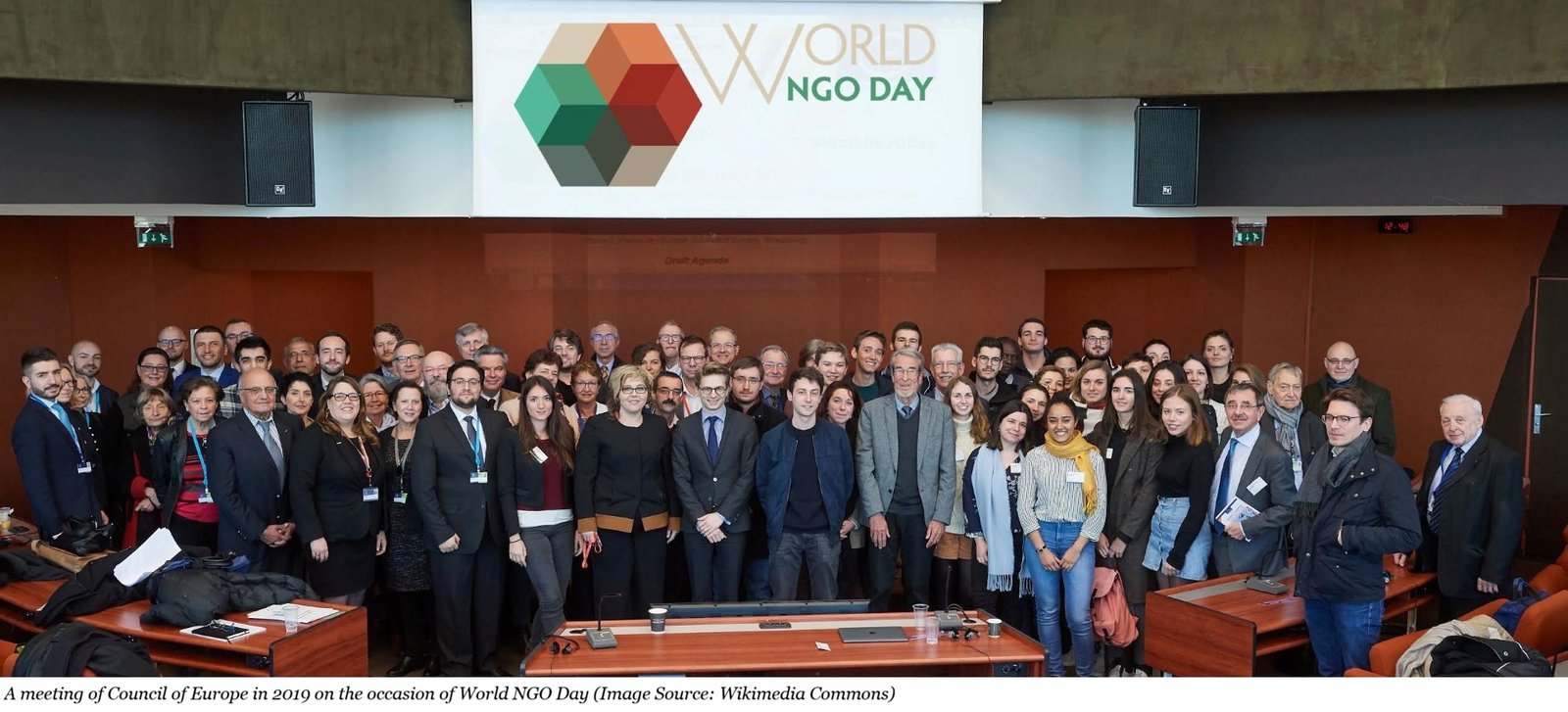 <p>The Role of International NGOs</p>